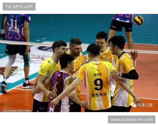 上海乒乓球队实力引发热议球迷与专家观点交锋分析