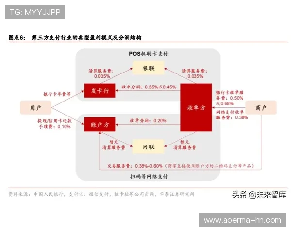 北京排球队快攻革新之路：技术提升与战术变革的深度解析