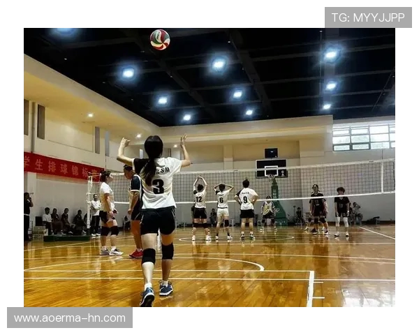 南京排球队的默契配合与战术探讨聚焦排球的精彩瞬间与团队精神 南京排球队的默契配合与战术探讨聚焦排球的精彩瞬间与团队精神