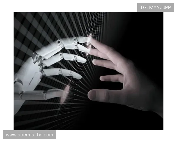 武汉极限运动队技术分析与发展前景探讨