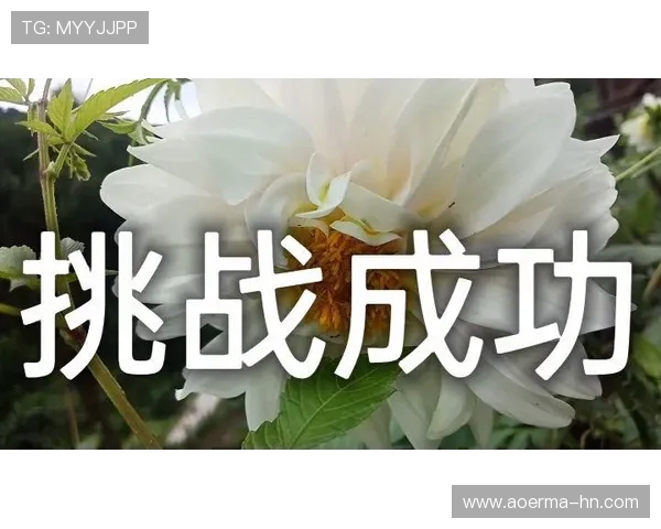 武汉足球队运营分析：成功与挑战并存的背后故事