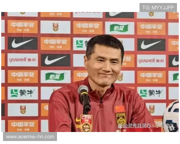 邵佳一职业生涯与中国足球发展历程深度解析