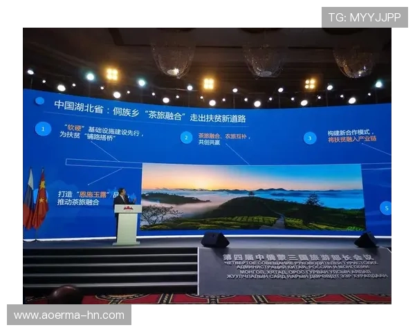 武汉三镇协同发展探索城市更新与经济高质量融合新路径